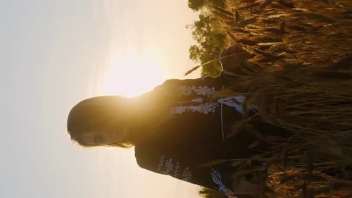 Vertical video caucasian romantic woman standing on a wheat field in evening blooming rays of light