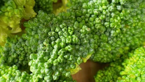 Close Up of Fresh Green Broccoli Heads