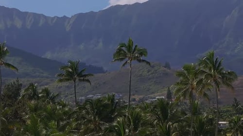 Aerial View of Oahu with Palm Trees Mountains and High Rise Building