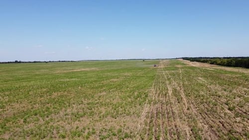 Blue Tractor O.A. Planting Canola On No Till Field