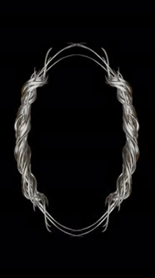 Animated Silver Gold Decorative Oval Frame Loop