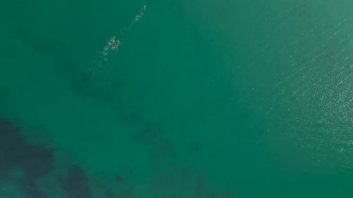 Aerial View of People Swimming in the Turquoise Ocean