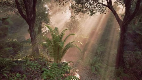 Sunlight Streaming Through Trees in a Lush Forest During Early Morning Hours