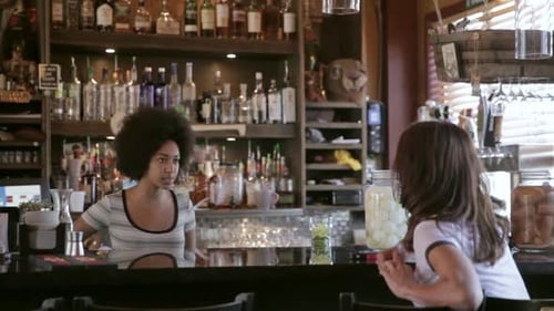 Female Bartender Talking to Customer at Bar Adult