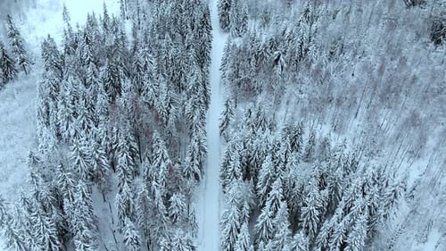 Aerial view overlooking a trail, in middle of snow covered trees and snowy forest, on a dark, cloudy