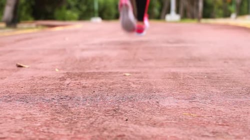 Woman Running in Park Healthy Lifestyle and Sport Concept