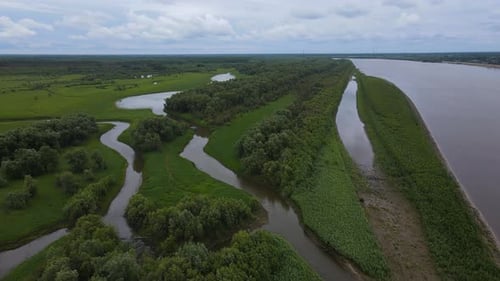 Aerial Many Rivers Forests Forests on the Banks of a Wide River