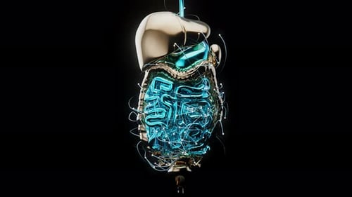 4K abstract view of the gut physiology