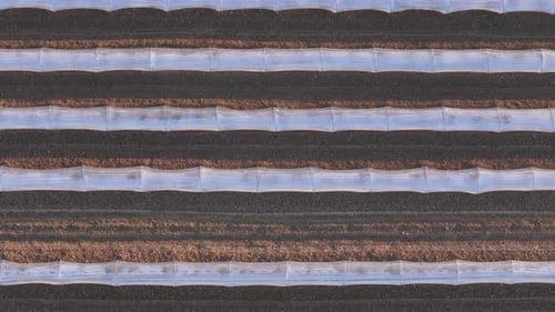 Les rangées d'horticulture à faible intensité de tunnel présentent un motif de texture de haut en bas de Pianura Padana Piacenza