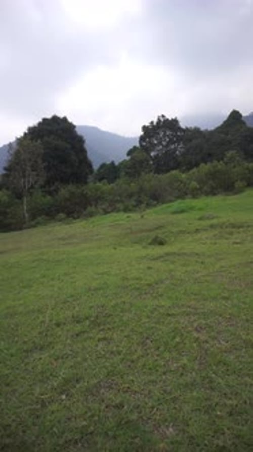 beautiful vertical video portrait natural scenery mountains natural panorama hills, and forest