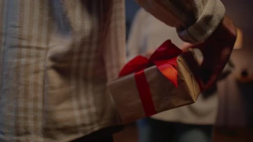 Man Giving Birthday Gift to Woman in Home
