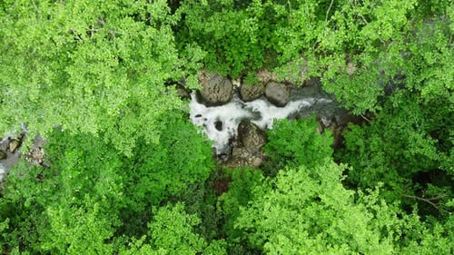 River in Forest Nature Morning Magical Aerial Landscape in Green Rainforest Trees