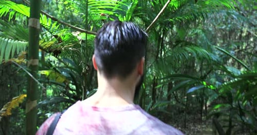 Man Walks Through Lush Green Tropical Rainforest