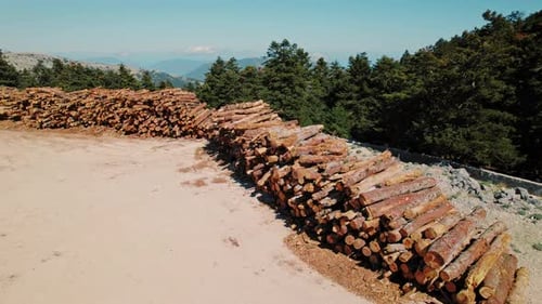Bûches empilées provenant du défrichement d'une forêt dans une zone montagneuse un jour d'été en Grèce