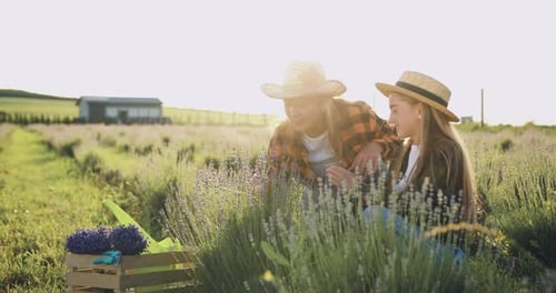 Une mère et sa fille joyeuses et prospères portant des chapeaux prennent soin des fleurs de lavande