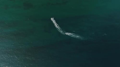 High Quality Texture of the Sea Taken During the Golden Hour 4 K