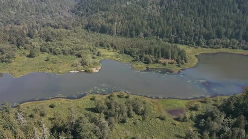 Aerial View of Lake and Green Trees in Forest Around Mountain Landscape
