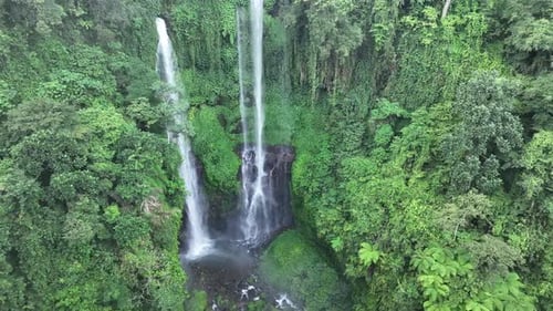 Majestic Waterfall Hidden in Lush Tropical Jungle