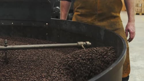 Coffee Beans Roasted and Stirred in Machine
