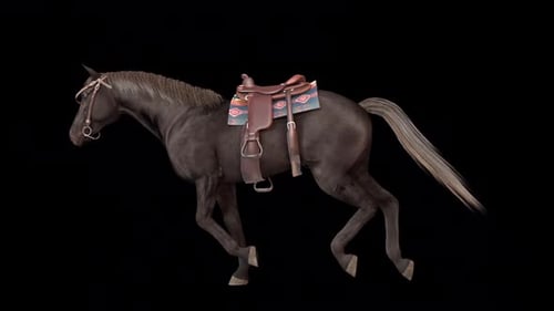 Horse with Tack Horse with Gallop Run