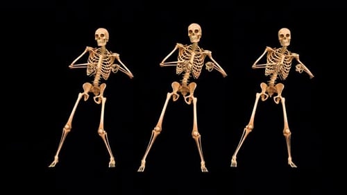 Dumme Tänze mit drei Skeletten