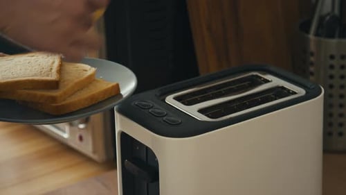 Toaster Toasting Bread in a Home Kitchen