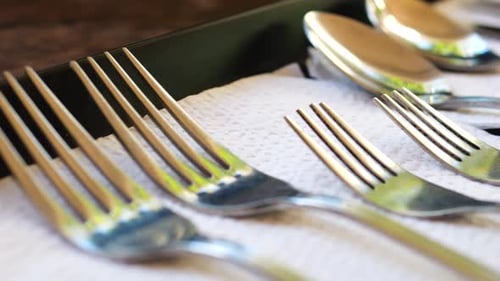 Una gama de cubiertos colocados en una bandeja