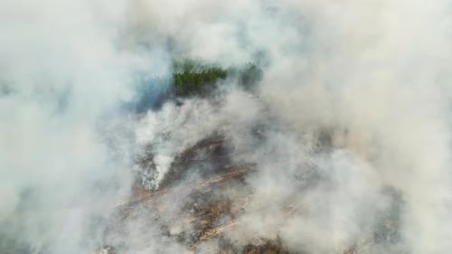 Aerial View of White Smoke From Forest Fire Rising Up Polluting Atmosphere