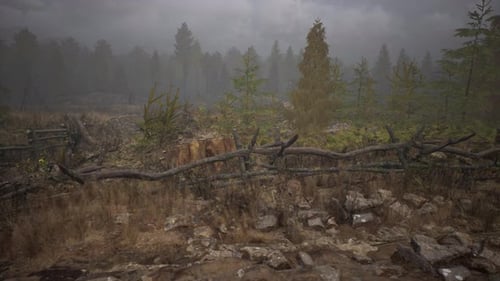 An Old Wood Fence with a Country Field Behind It