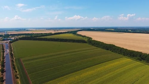 Beautiful green cropland near the highway. Diverse color farmlands limited by trees.