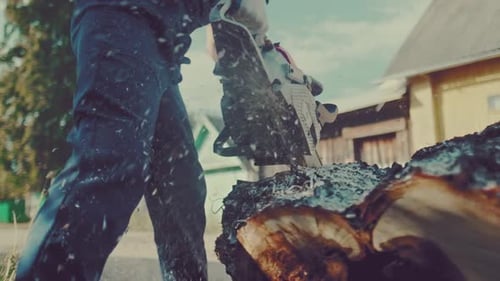Person Cutting Tree Trunk with Chainsaw