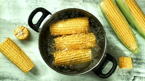 Corn Cobs Boiling in Pot Overhead Shot