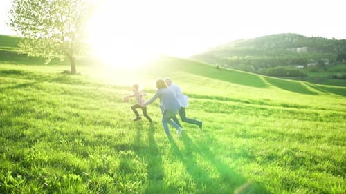 Family playing together in a grassy green field