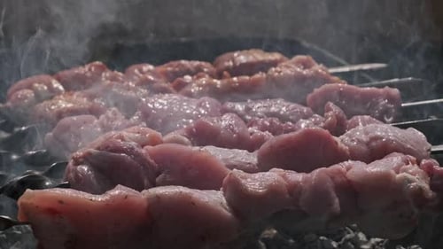 Grilling Shashlik on Barbecue Grill Outdoors Prepare Shish Kebab on Skewer BBQ