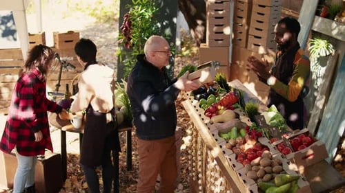 Fresh Produce Stand in Rural Environment