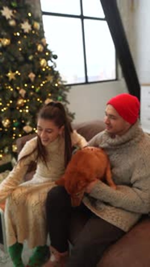 Girl, Man, and Dog Enjoying Christmas at Home