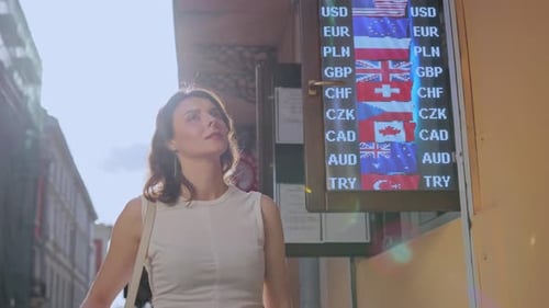 Woman Checks Exchange Rate and Counts US Currency