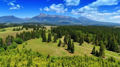 Survolez les forêts de pins qui poussent dans la vallée verdoyante. Superbes montagnes des Tatras en toile de fond
.