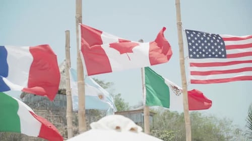 International Flags Waving in Tropical Beach Breeze