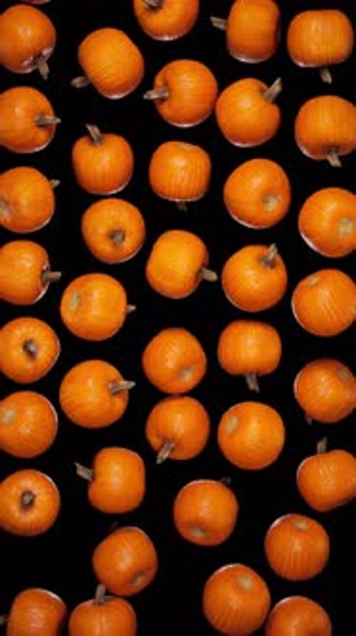 Vertical Falling Pumpkins on Alpha