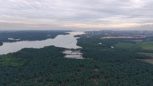 Drone panorama reveals lush green Sungai Melayu Johor