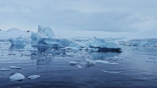 Gelo e icebergs flutuando no mar na Antártica, muitos pequenos pedaços de gelo no azul
