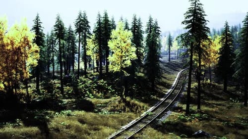 Forked Railway Crossing in Alaska Features Rugged Horizon Landscape