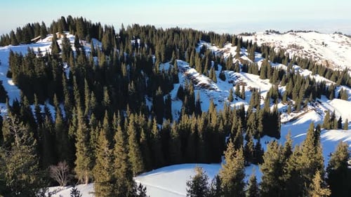 Aerial View of Snowy Mountain Forest on a Sunny Day