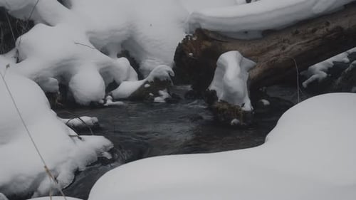 Winter creek flowing through a snowy forest landscape