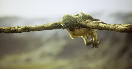 Majestic 3D Eagle Flying Over Mountain Landscape