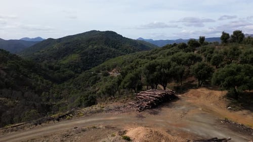 Des tas d'arbres forestiers dans les montagnes d'Espagne, vue aérienne vers l'arrière