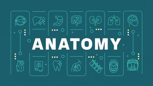 Animated Flat Design Medical Anatomy Icons Grid