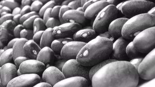 Black turtle beans are a versatile, flavorful