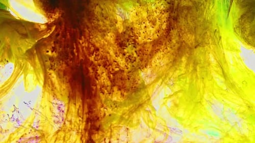 Abstract Ink Flowing in Liquid Close-Up